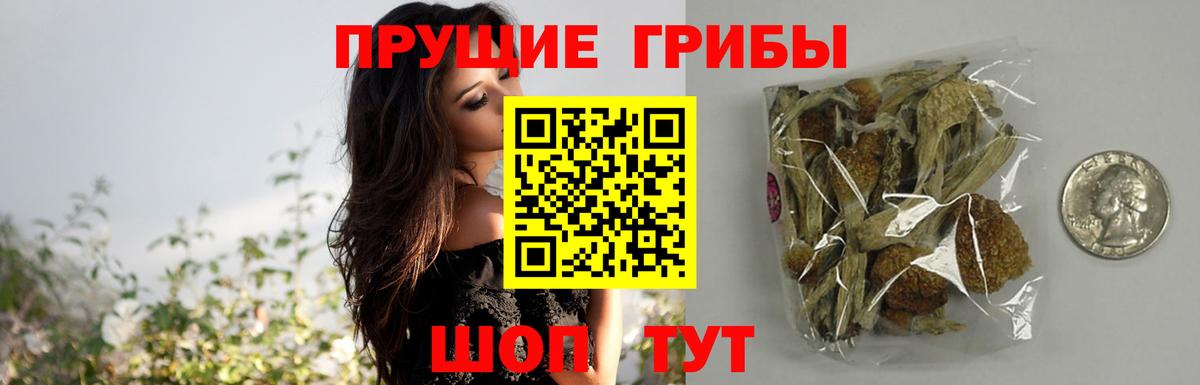 Галлюциногенные грибы MAGIC MUSHROOMS  Вход с VPN  Псилоцибиновые грибы Psilocybine cubensis  Тольятти 